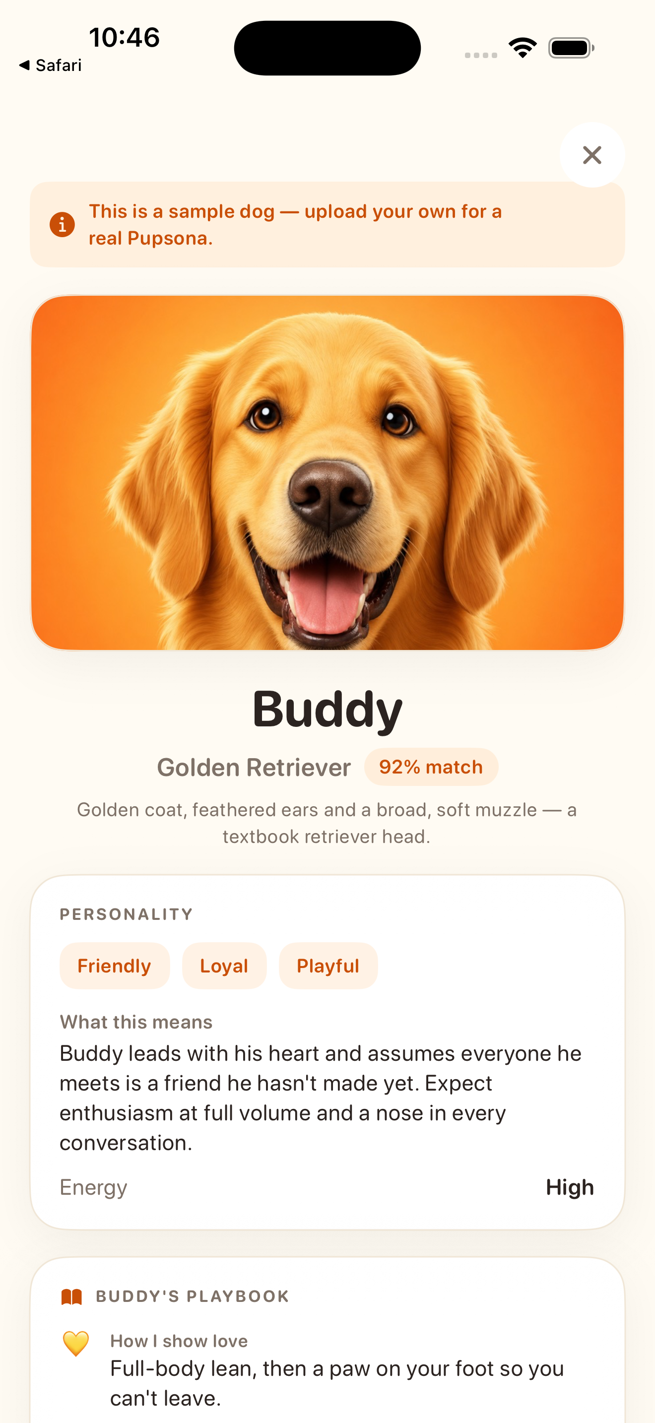 The Pupsona app showing a sample profile for Buddy, a Golden Retriever, with personality traits and a description of what they mean.